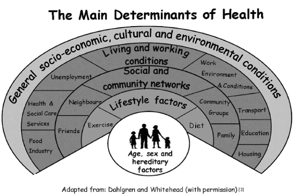 Prevention: Resource: Social Determinants of Health | مينا